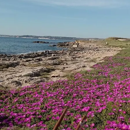 Vacanze Natalia Gallipoli