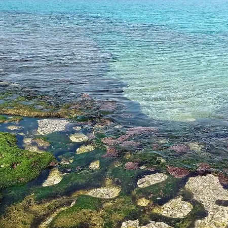 Vacanze Natalia Appartamento Gallipoli