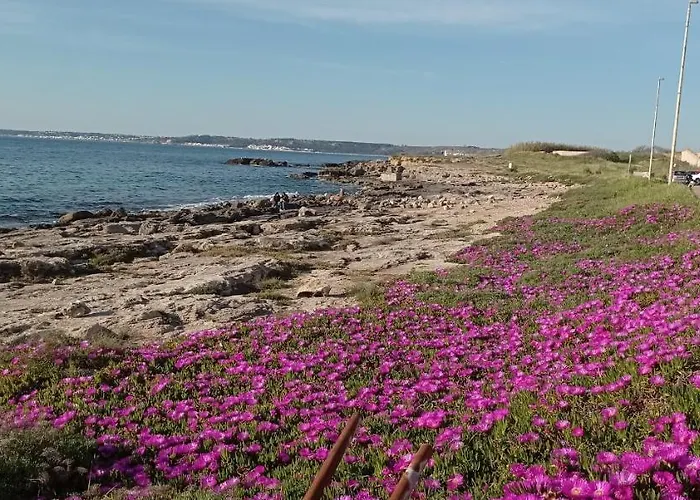 Vacanze Natalia Gallipoli