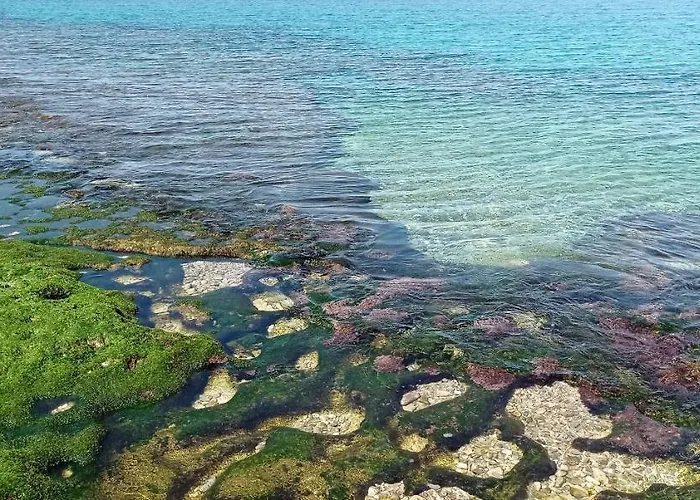 Vacanze Natalia Апартаменти Галліполі